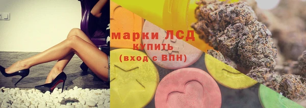 гидра Корсаков