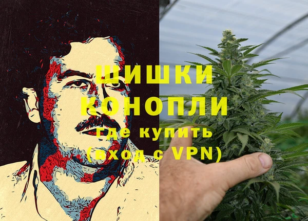 гидра Корсаков
