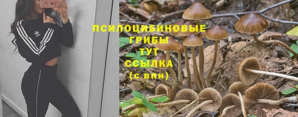 таблы Коряжма