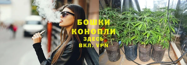 гидра Корсаков
