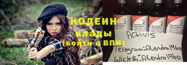 гидра Корсаков